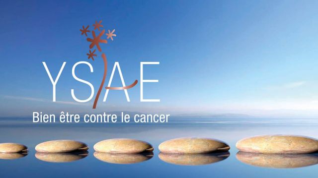 Logo YSAE