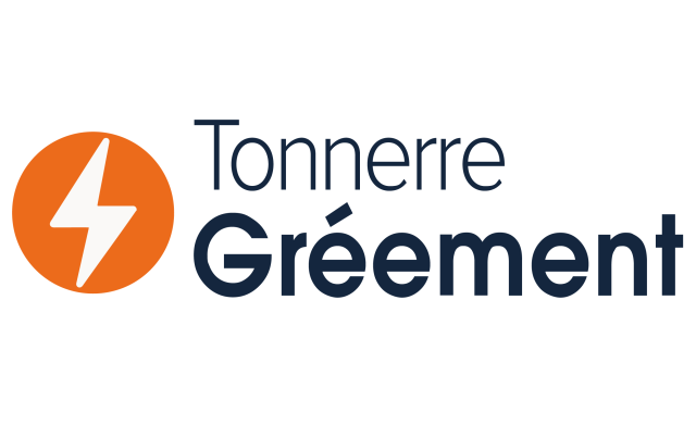 Logo tonerre bleu